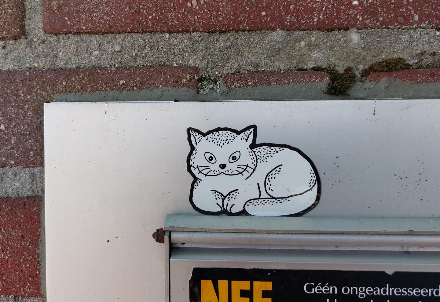 Gato as a small cat on an object in the street