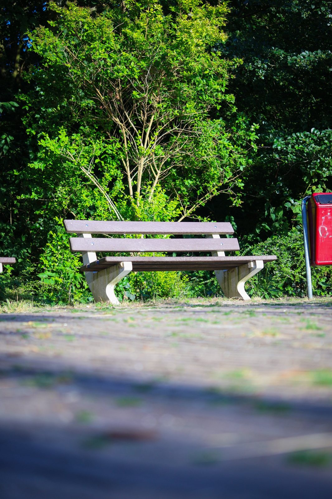 Example of a community member’s photography