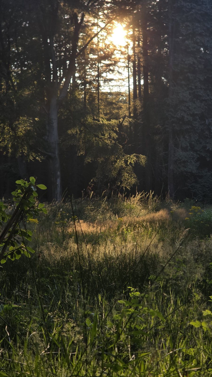 Landscape photography by community member Niels
