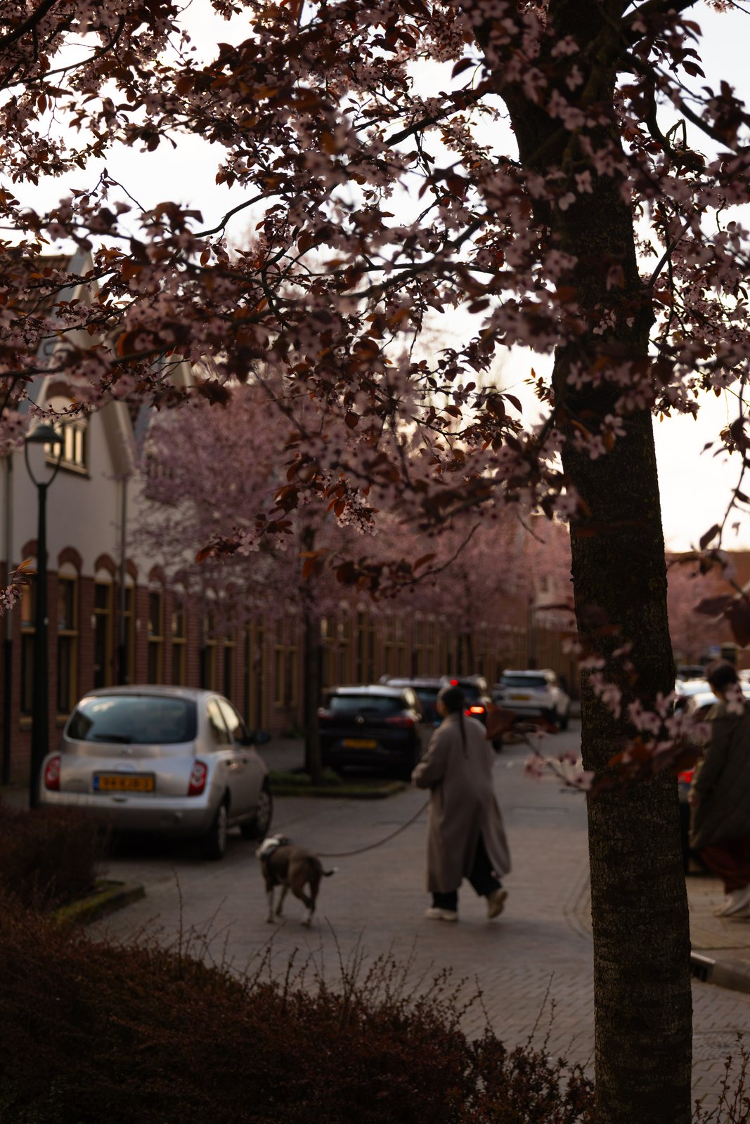 Example of Shreyas’s street photography